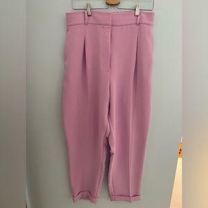 Aritzia Wilfred Dashwood Pant